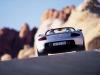 porsche_carrera gt_11